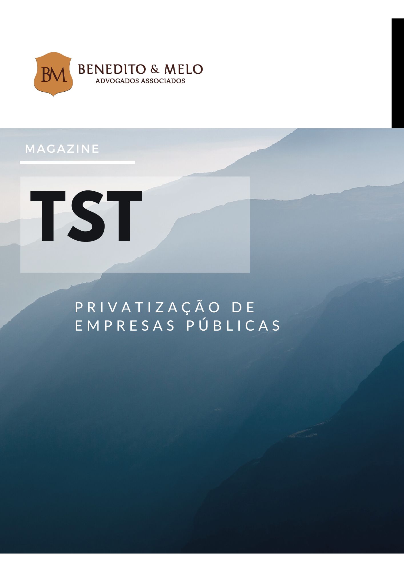 Privatização de empresas públicas, um dilema sobre o contrato de trabalho público